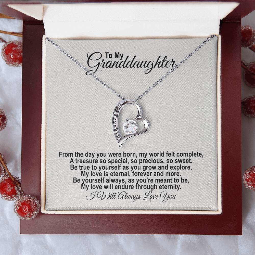 To My Granddaughter - From The Day You Were Born - Forever Love Necklace