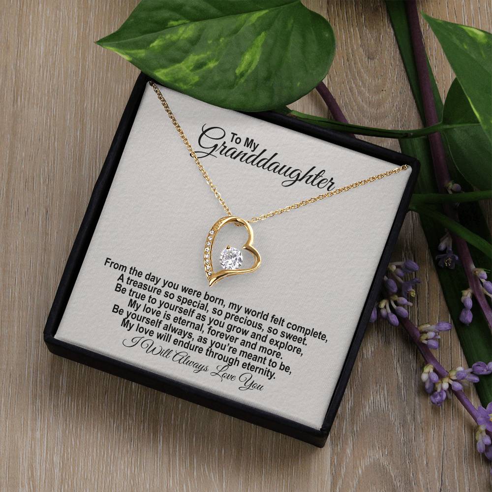 To My Granddaughter - From The Day You Were Born - Forever Love Necklace